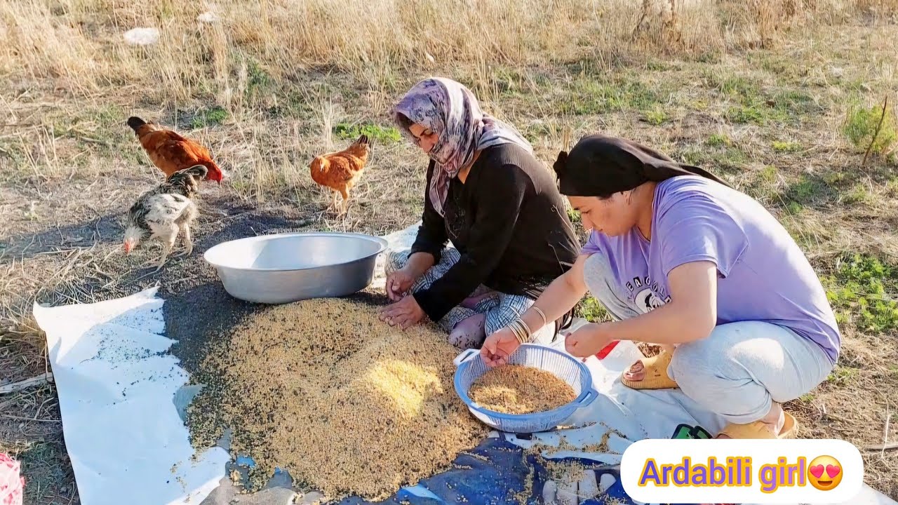 village lifestyle iranian girl 🔥Daily work in the village |Grinding black peas in the village