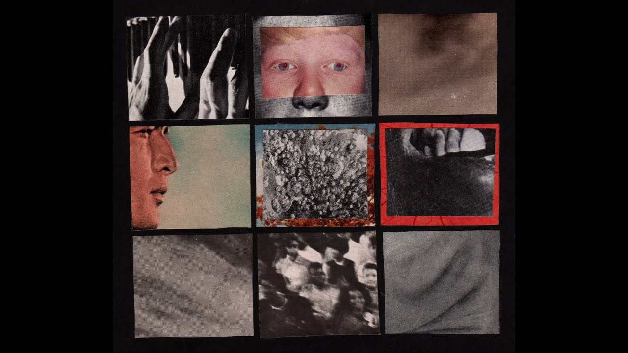 SFN // In Disgust - Split (2014)