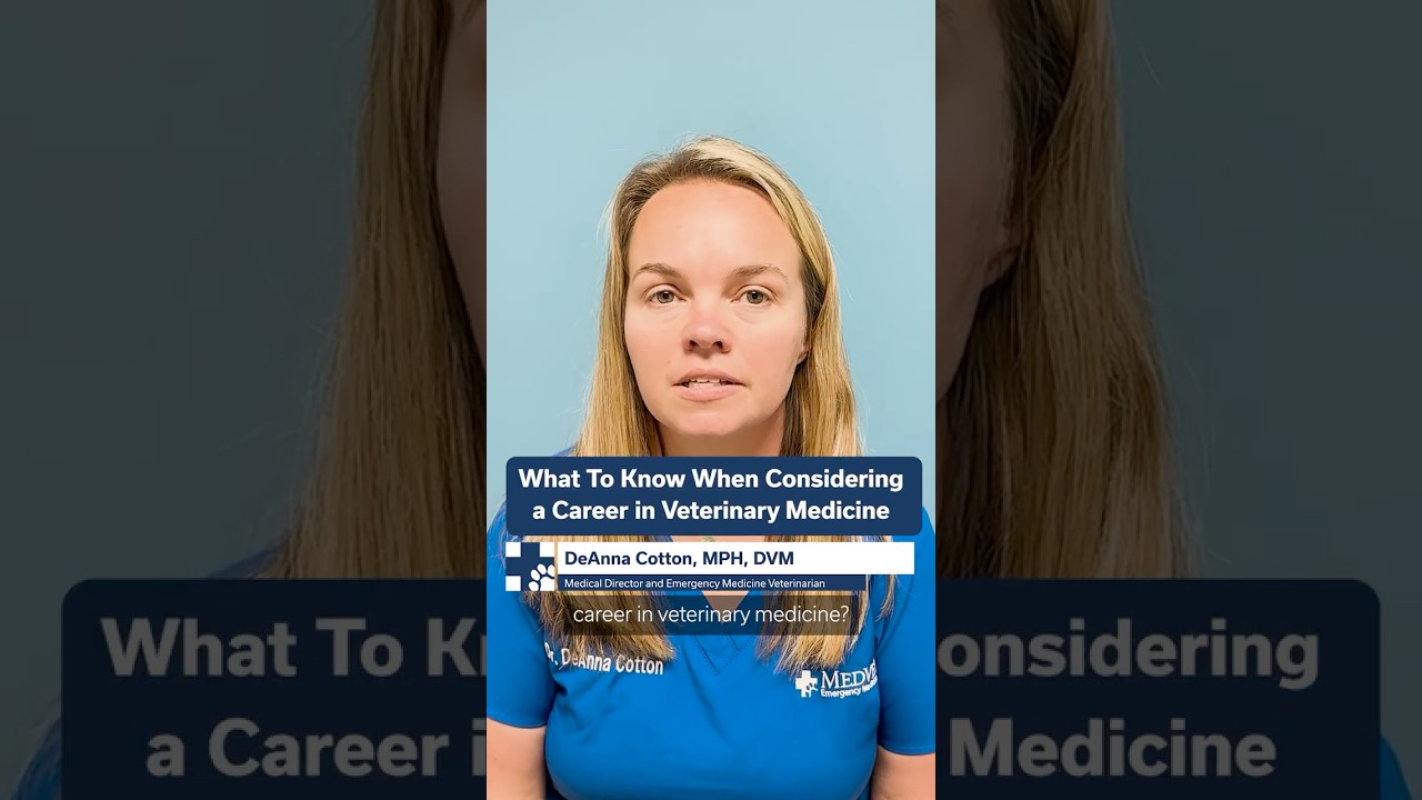 Considering a Career in Vet Med?