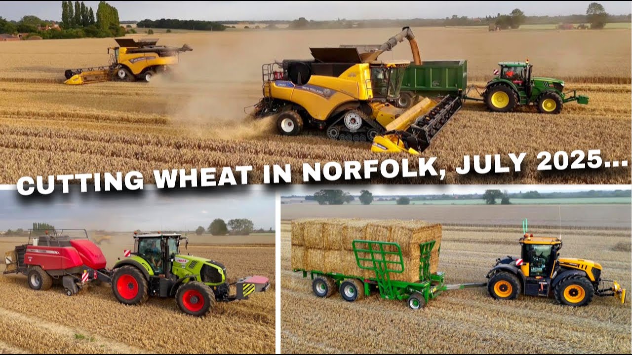 4Kᵁᴴᴰ Harvest 2025: New Holland, JCB, Claas, Massey Ferguson, John Deere working in Pulham St. Mary