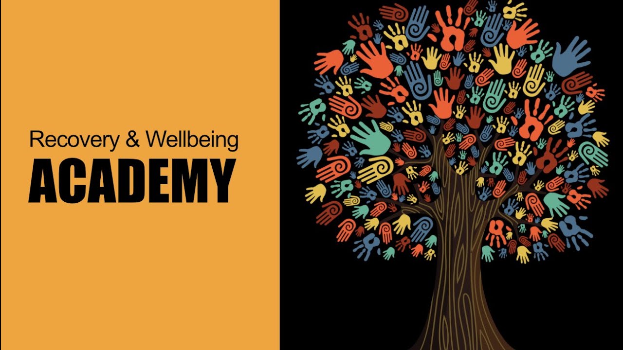 What is the Recovery and Wellbeing Academy?