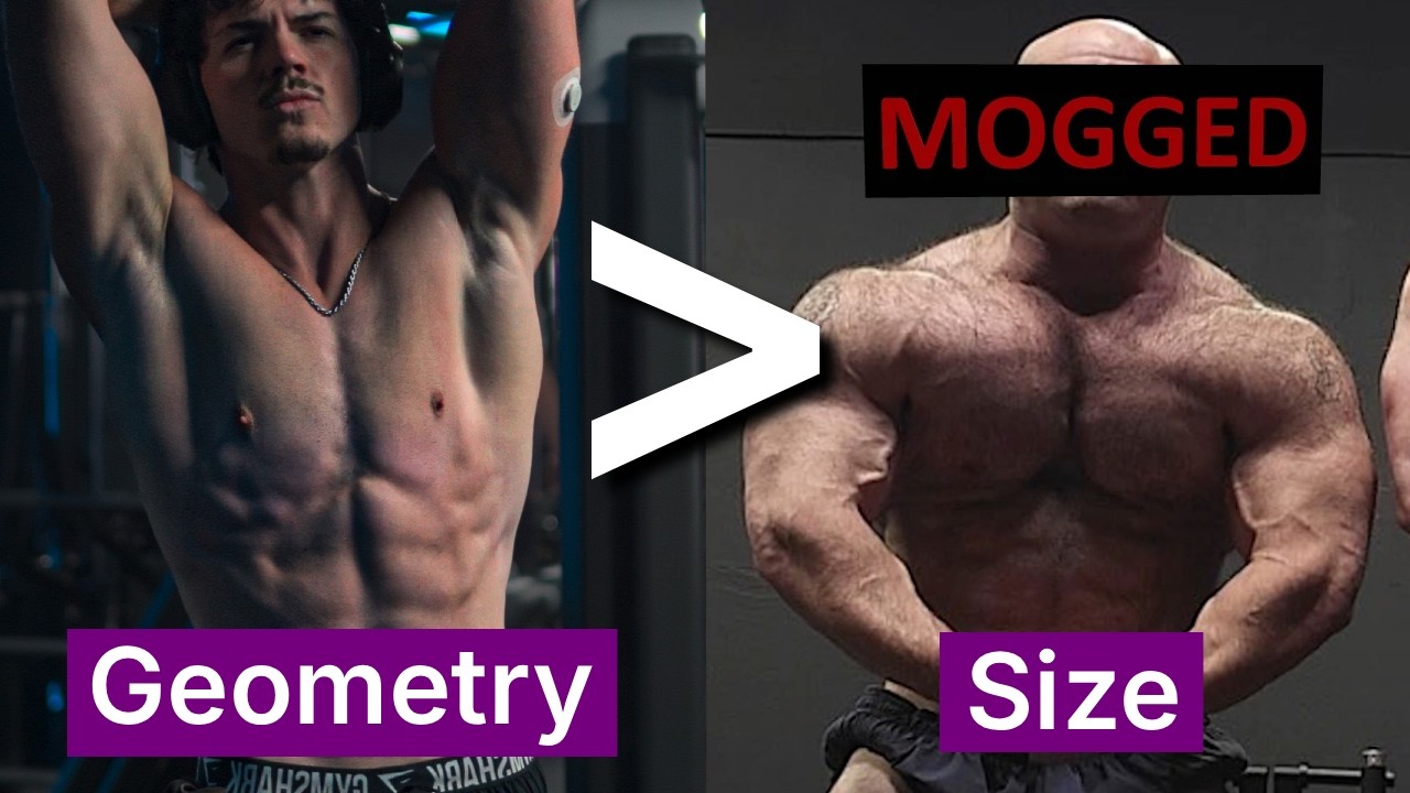Why Shape MOGS Size When It Comes To Attraction (how to optimise yours)