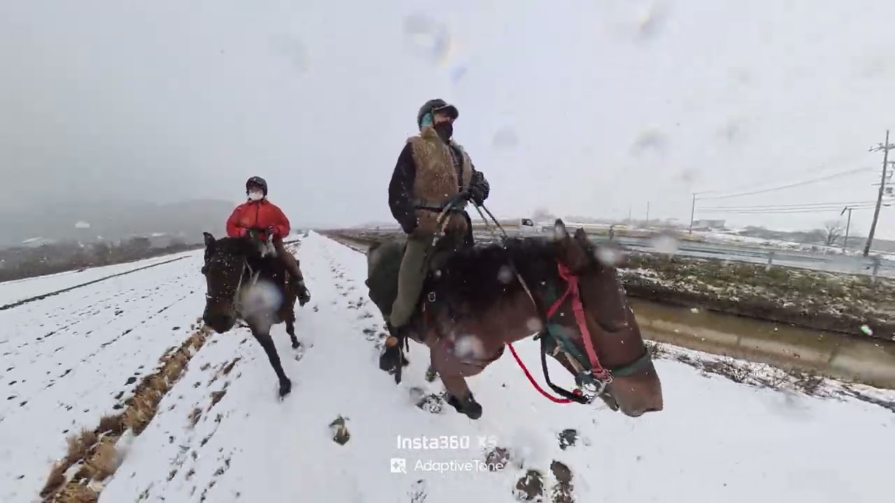 260125雪中行軍。めちゃくちゃ寒かった🐴