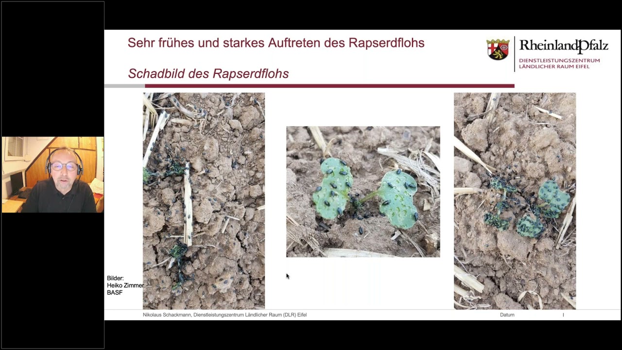 Nikolaus Schackmann (DLR RLP): 