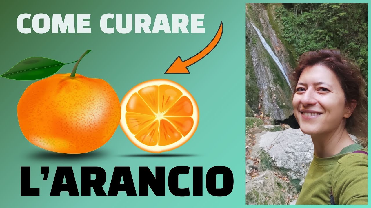 Come curare l'arancio