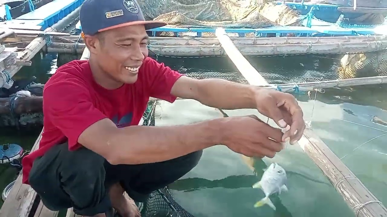 MANCING TERNGAKAK🤣🤣 BIKIN KOCAK
