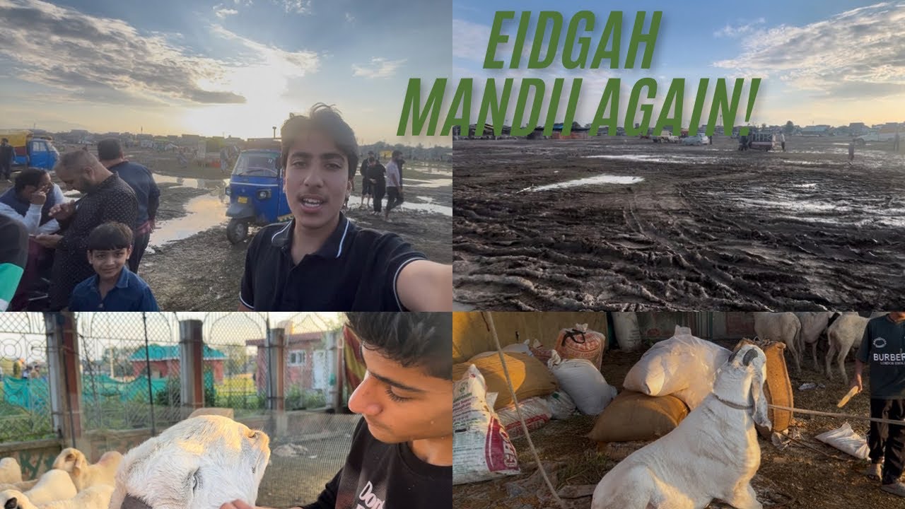 Eidgah mandii vlog-2 / 2025/1st june/sunday.🐏❤️