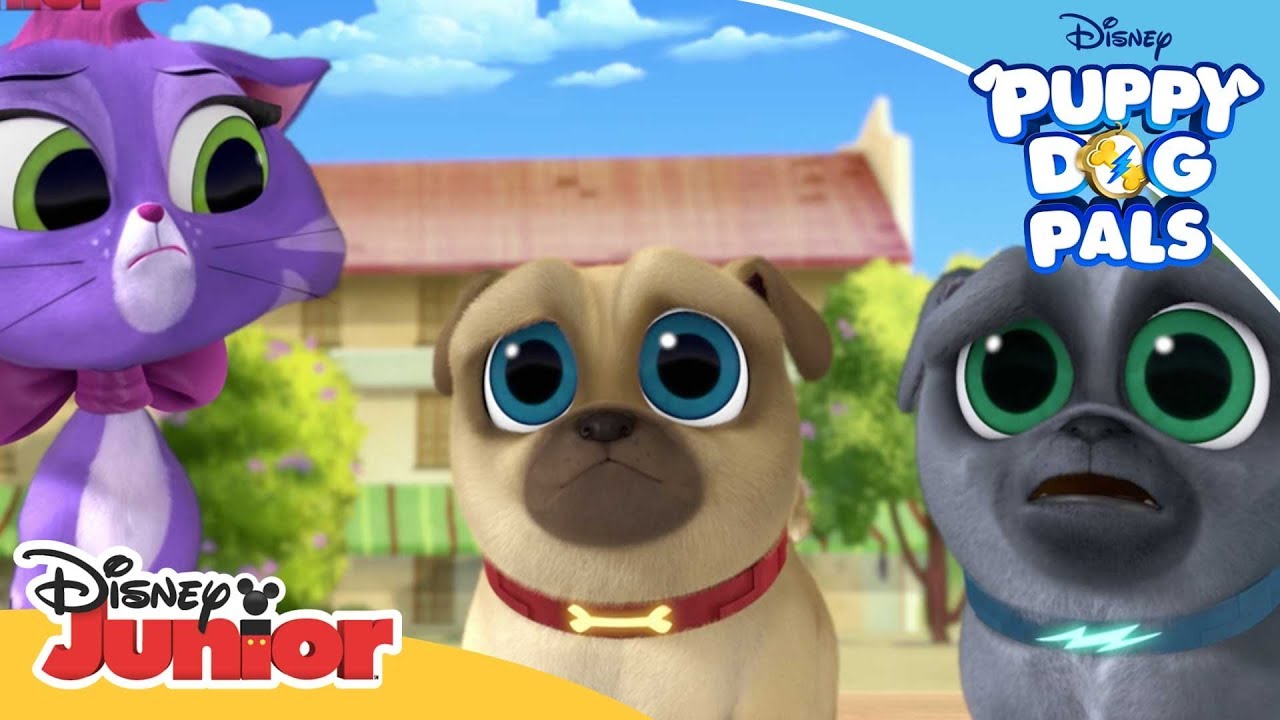 Theatre Puppies! | 🐶Puppy Dog Pals | Disney Channel Africa