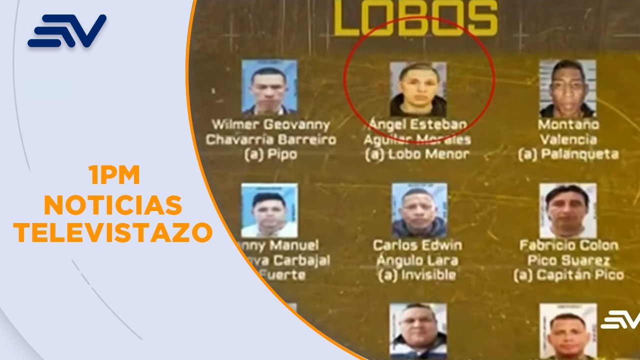 Jueza ordenó revocar prelibertad de alias Lobo Menor y capturarlo  | Televistazo| Ecuavisa