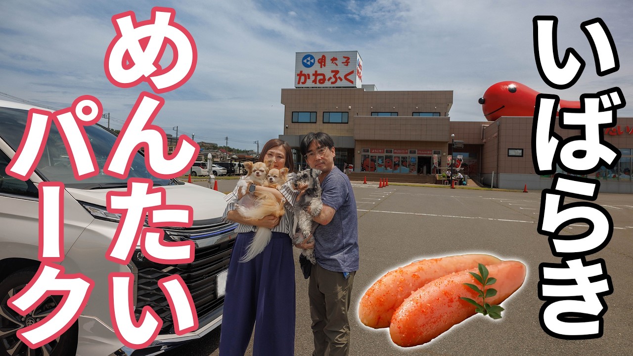いばらきのかねふくめんたいパークへ！！大洗で絶品明太子を堪能！ドデカおにぎりの明太子に感動