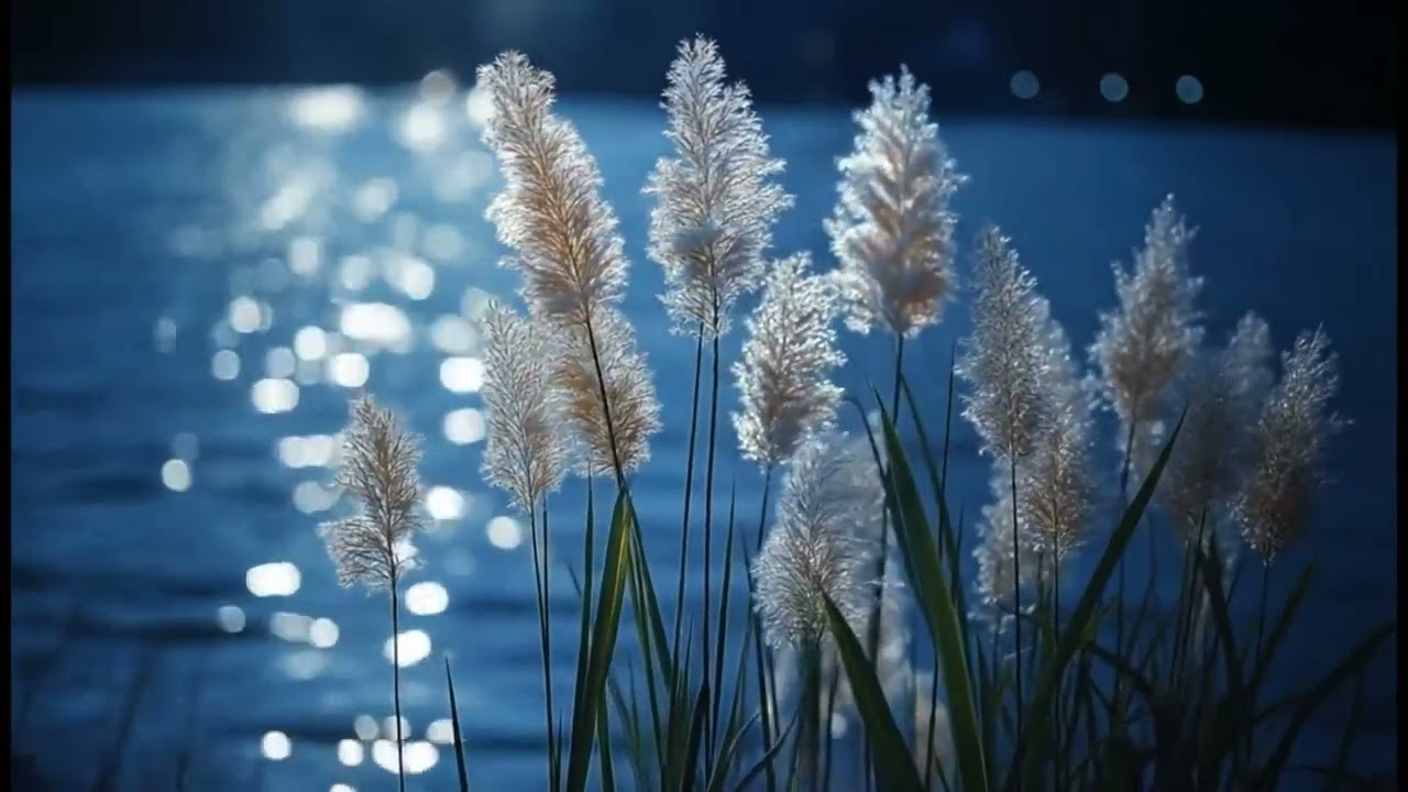 Gentle Piano Music for Relaxation and Peaceful Mind | Golden Piano Calm