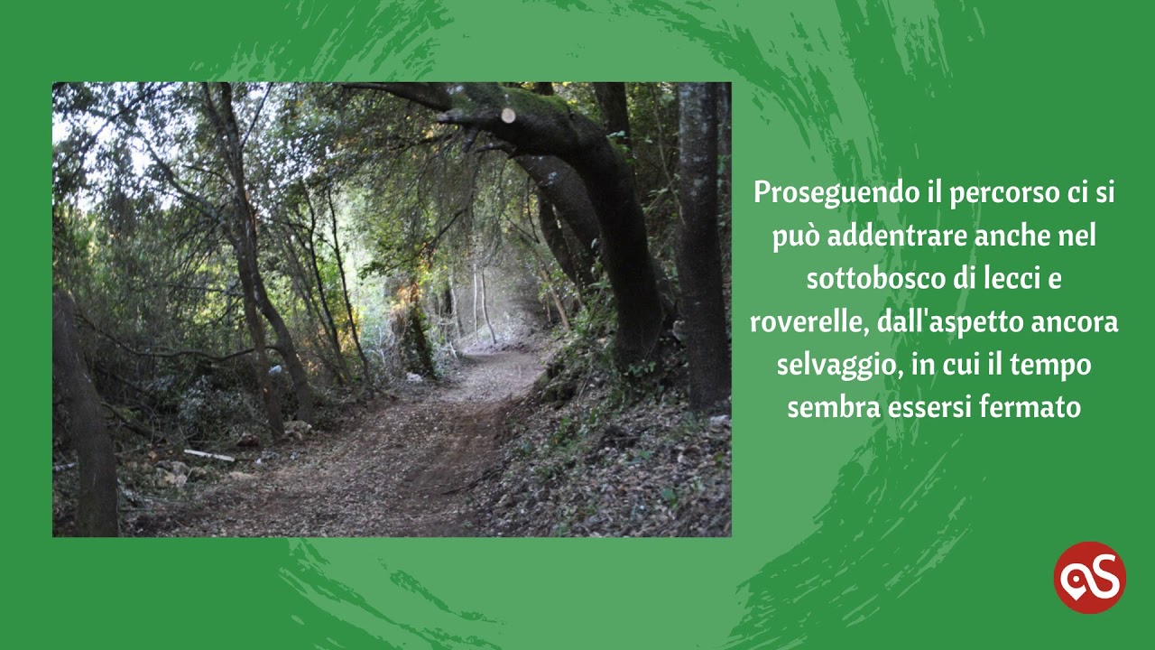 VALLE DI LOGULENTU: ANTICHI GIARDINI E SOTTOBOSCHI INCANTATI