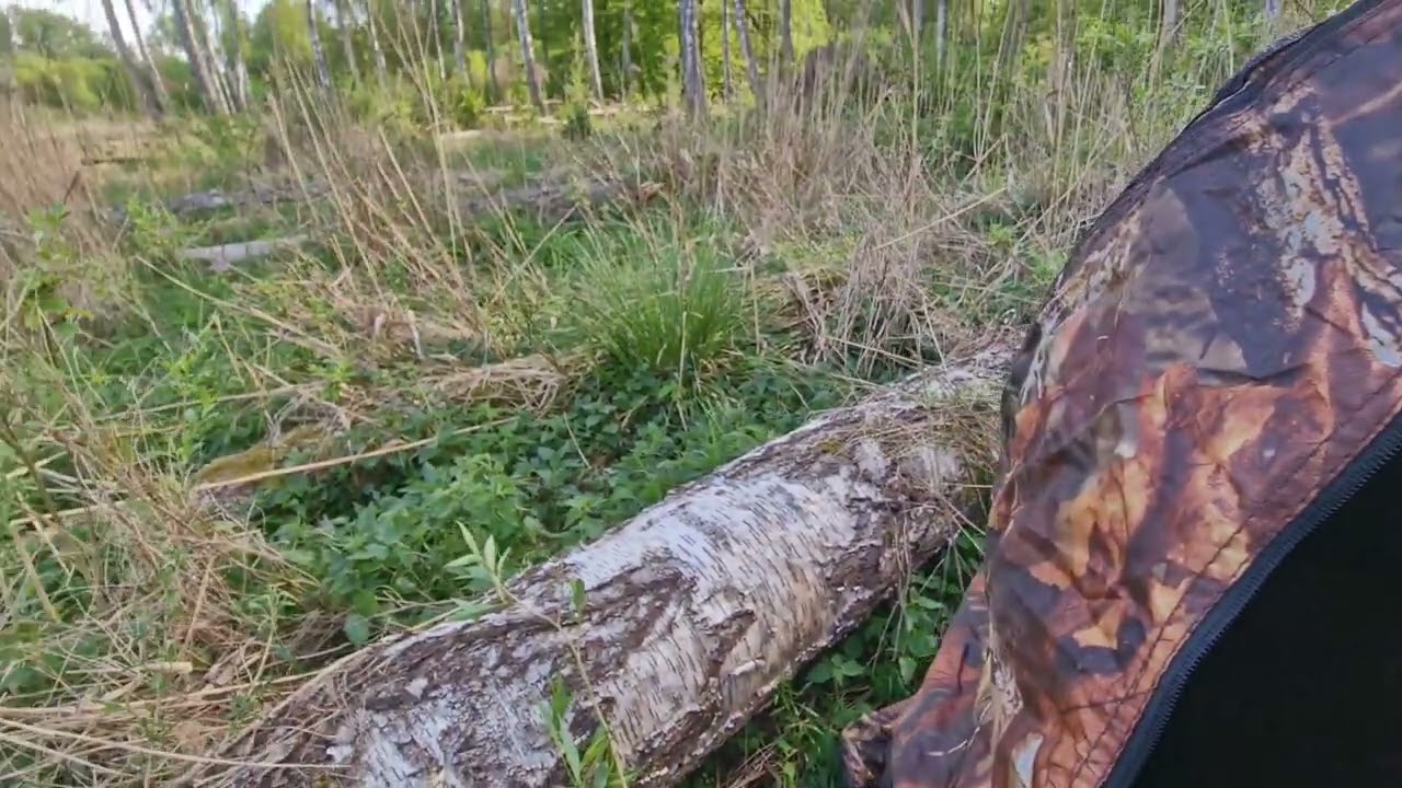 Namiot maskujący czatownia Stealth Gear