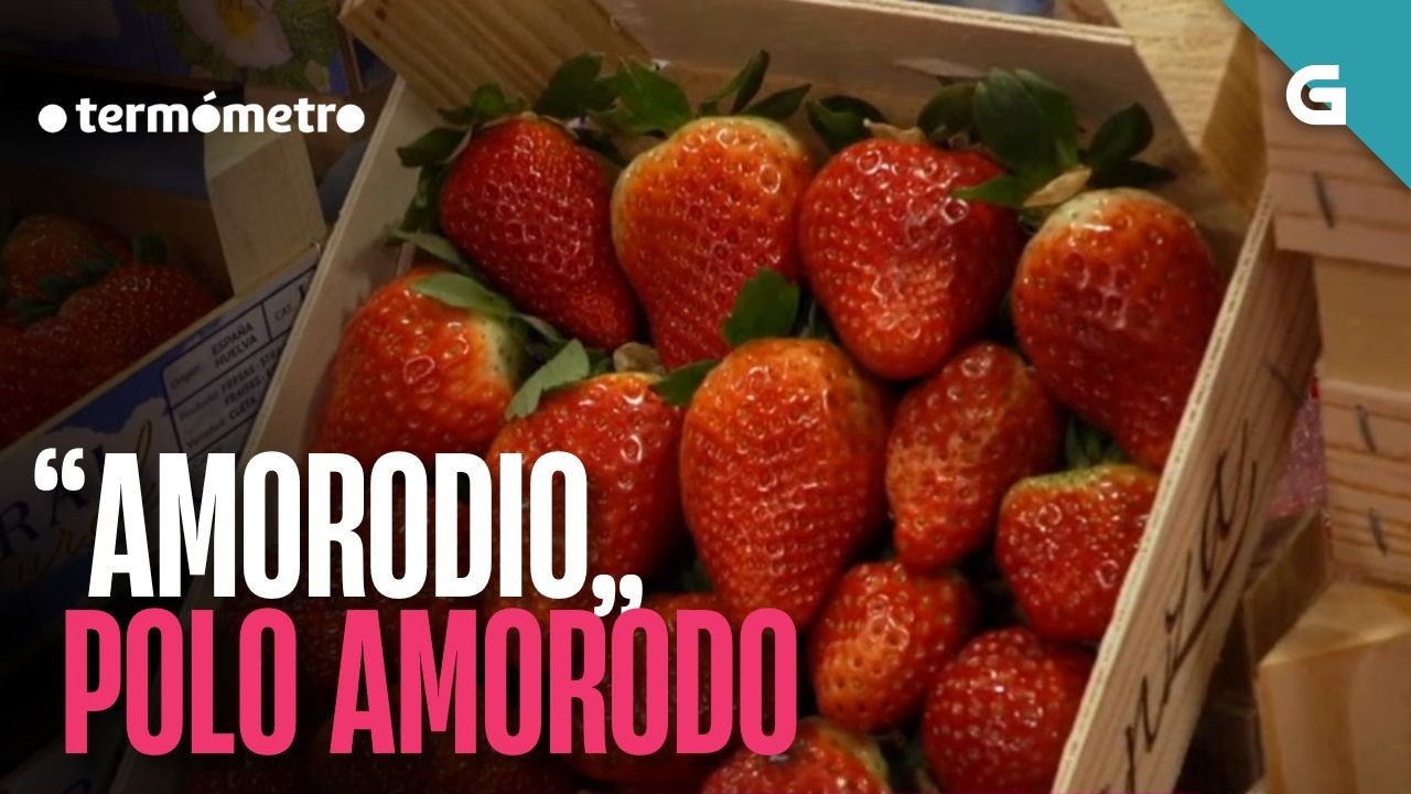 “Amorodio” polo AMORODO | O TERMÓMETRO