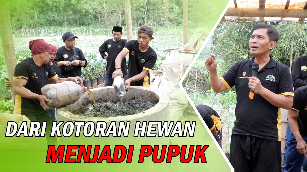 FULL PRAKTEK PENGOLAHAN KOTORAN HEWAN MENJADI PUPUK