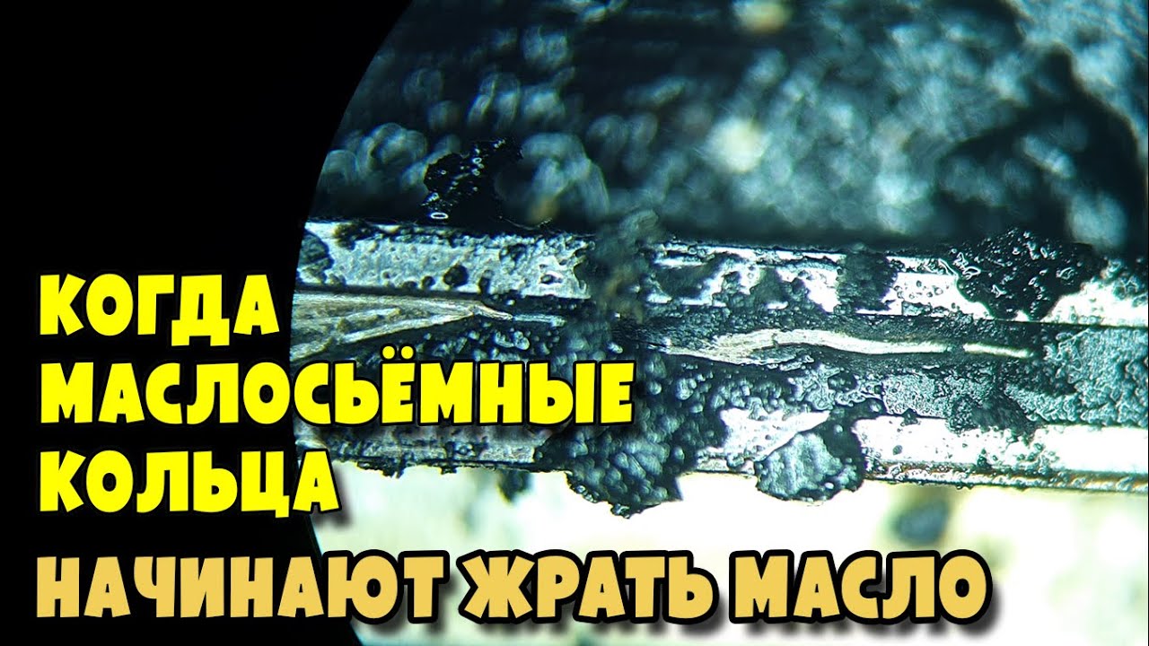 В каких случаях можно заменить или раскоксовать маслосьёмные кольца