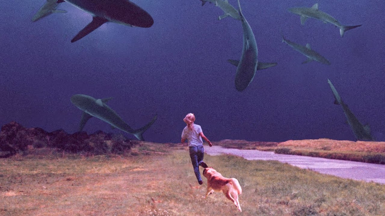 Bully - Lose You (feat. Soccer Mommy) [Official Visualizer]