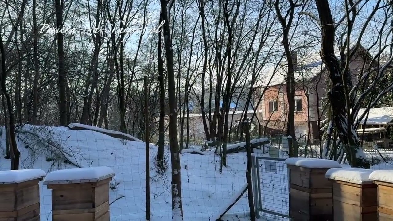 #242 Zima na całego 6.01.2026