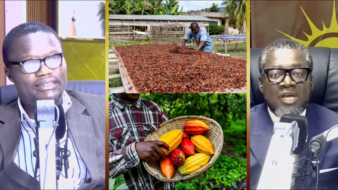 Ghana & the Ivory Coast must form Int  Cocoa Pricing Mechanism Board to determine prices, Mr. Asante