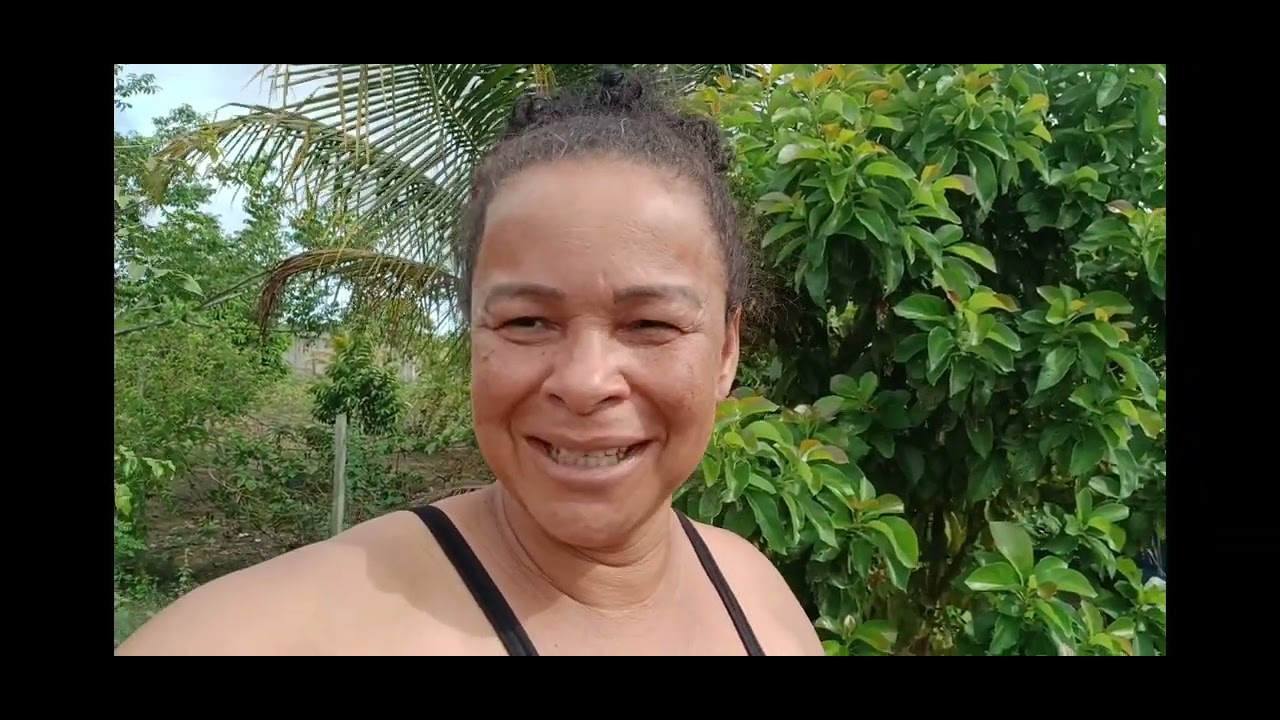 O dia amanheceu com muita chuvas e teve colheita