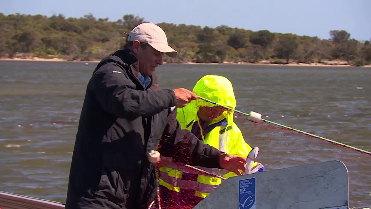 Seafood Escape with ET, Western Australia Sea Mullet, S1E5, Fishing Clip #2