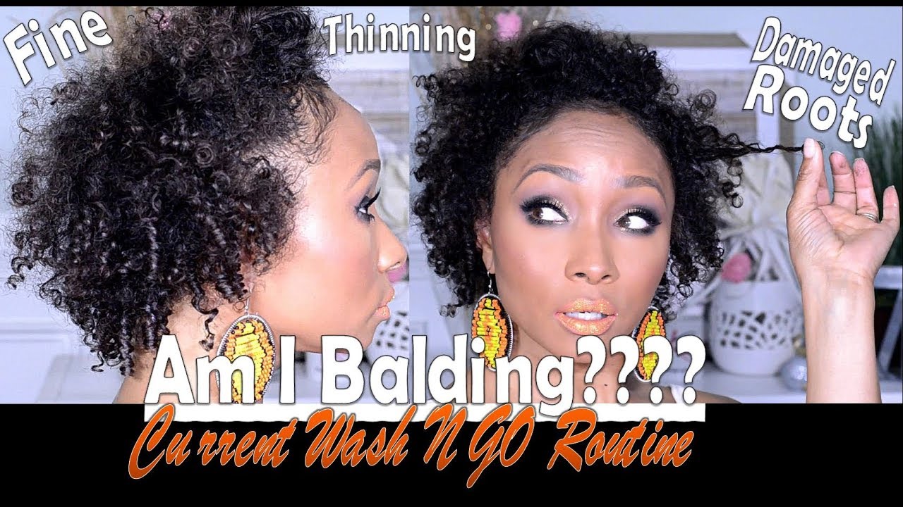 Am I Going Bald?!| Current Wash N Go Routine on Fine Thinning Hair| Color Damaged Hair