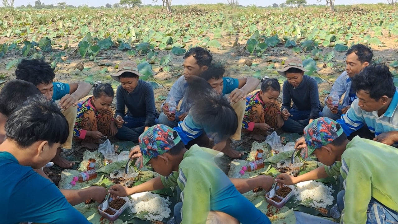 សាយសាម៉ន​ / Finding Fish For Cook at rice field