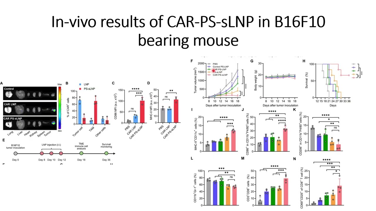 In-vivo enhanced anti-tumor efficacy of CAR reinforced macrophages (CAR-PS-sLNPs) 