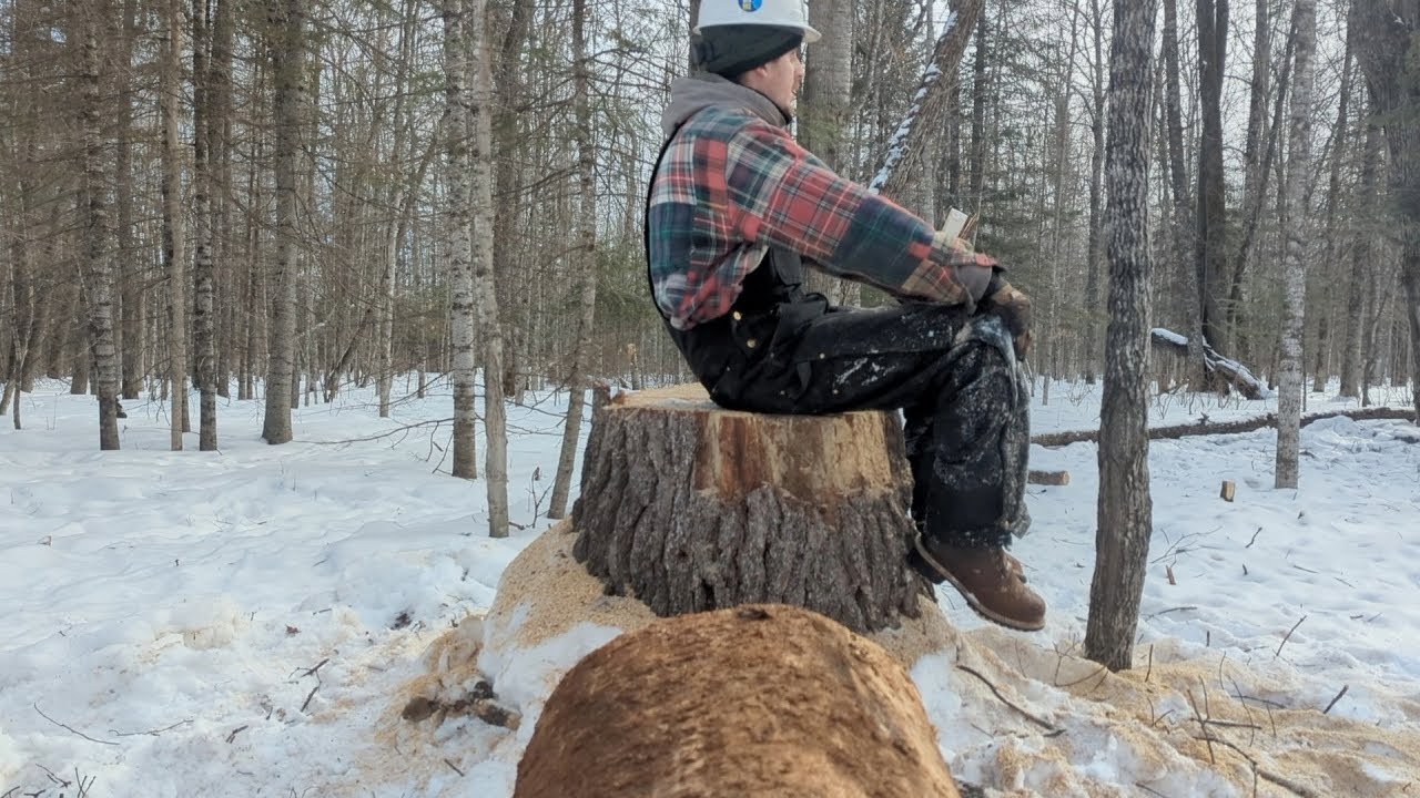 Off-Grid And Alone In My Tiny House | Clearing a building spot in the winter, Leaky roof, Supply run