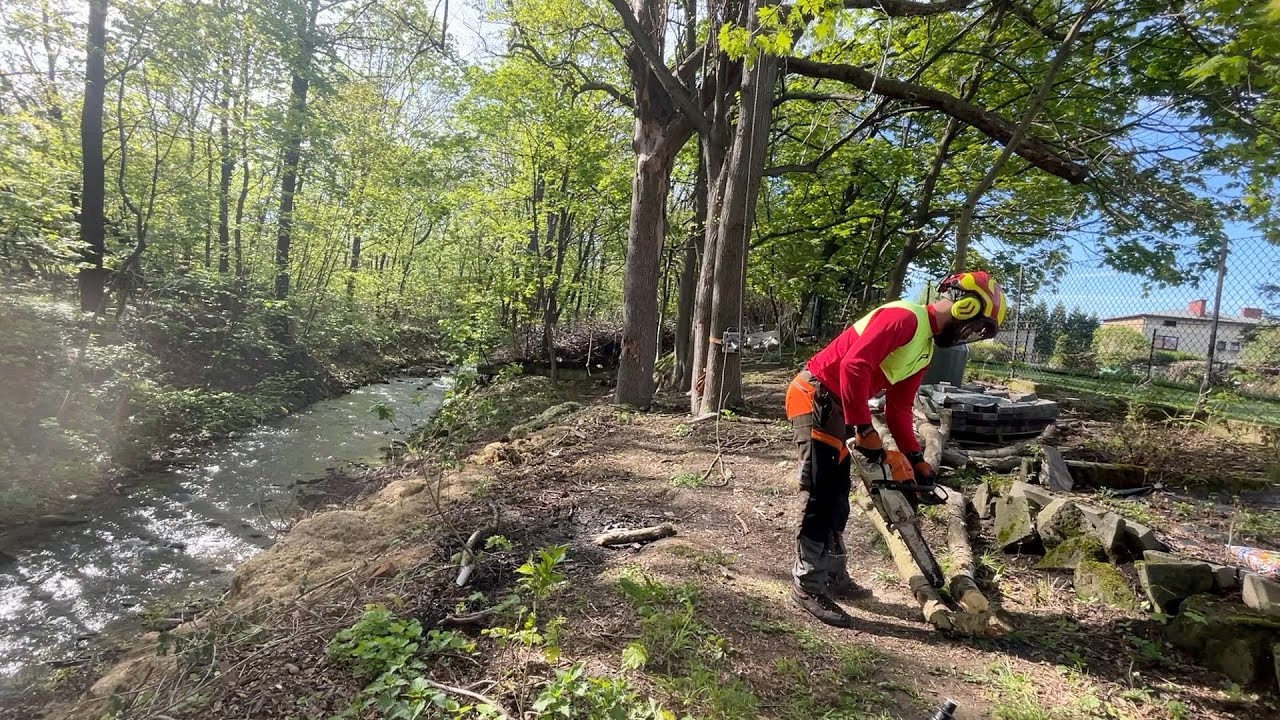 VLOG#9 - suchy i obumarły Jesion- czyli to co lubimy najbardziej