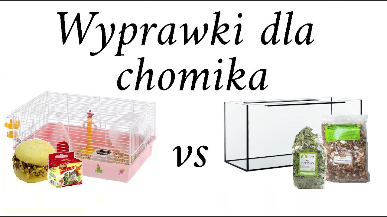 Wyprawki dla chomika