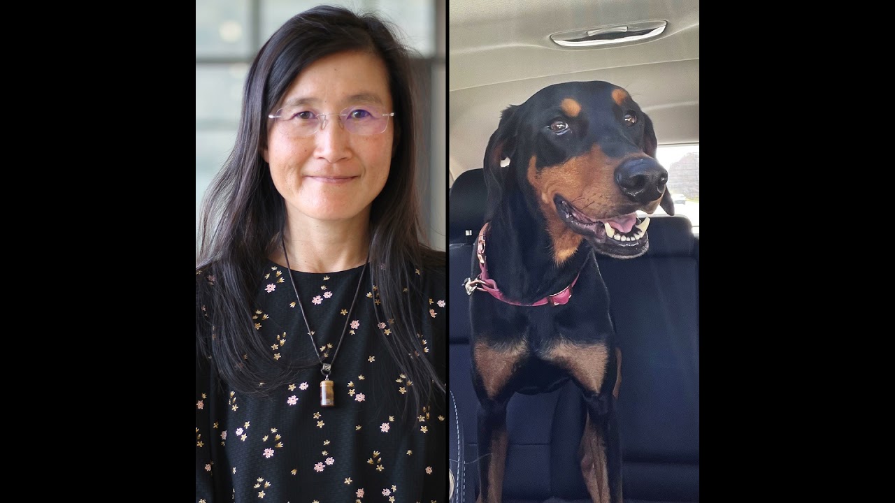 Ep41: Advancing Cancer Research with Histotripsy: Insights from a Canine Osteosarcoma Trial