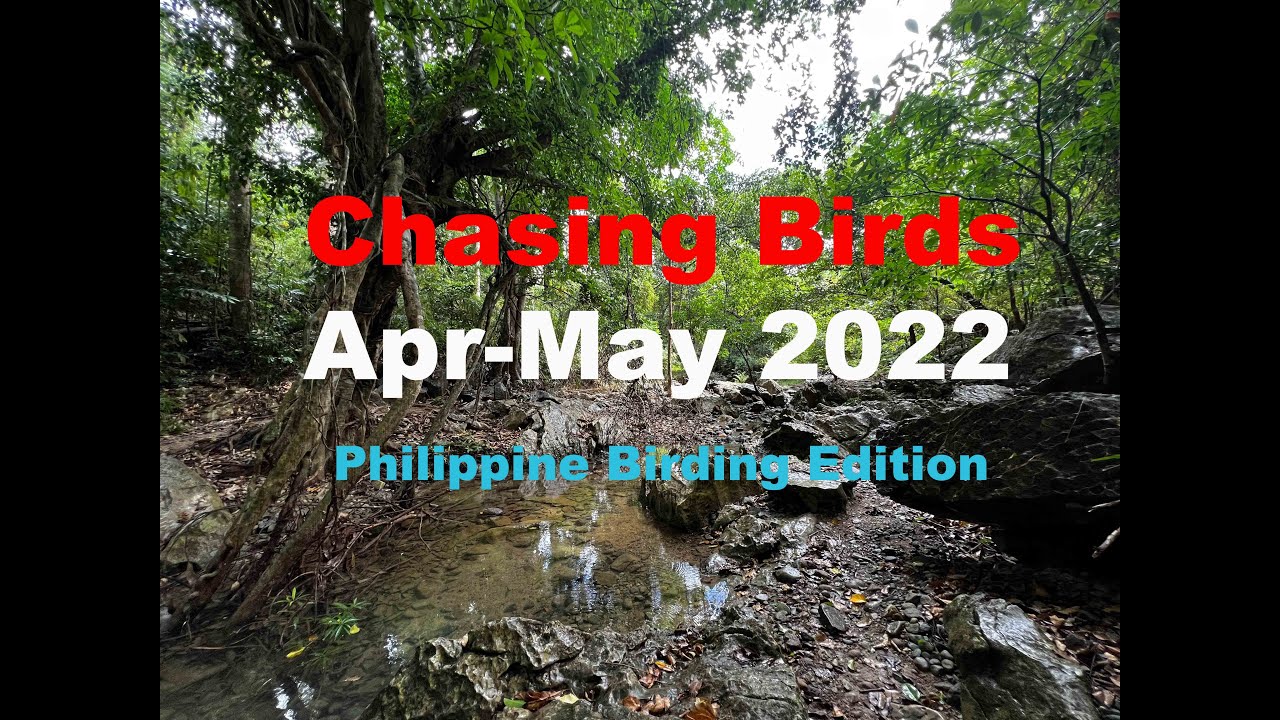 Chasing Birds Apr May 2022 - Philippine Birding Edition