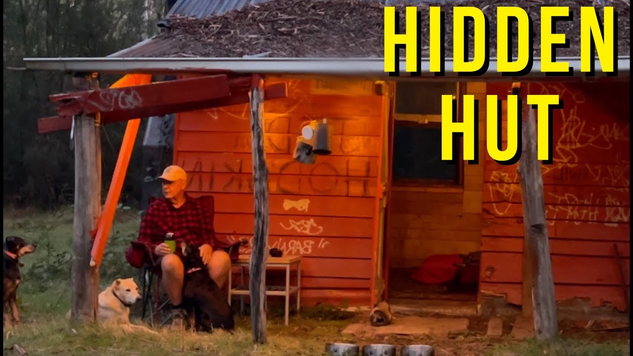 Spending the night in a hidden Cozy Off-Grid Cabin With my Dogs | Campfire Cooking & peaceful escape