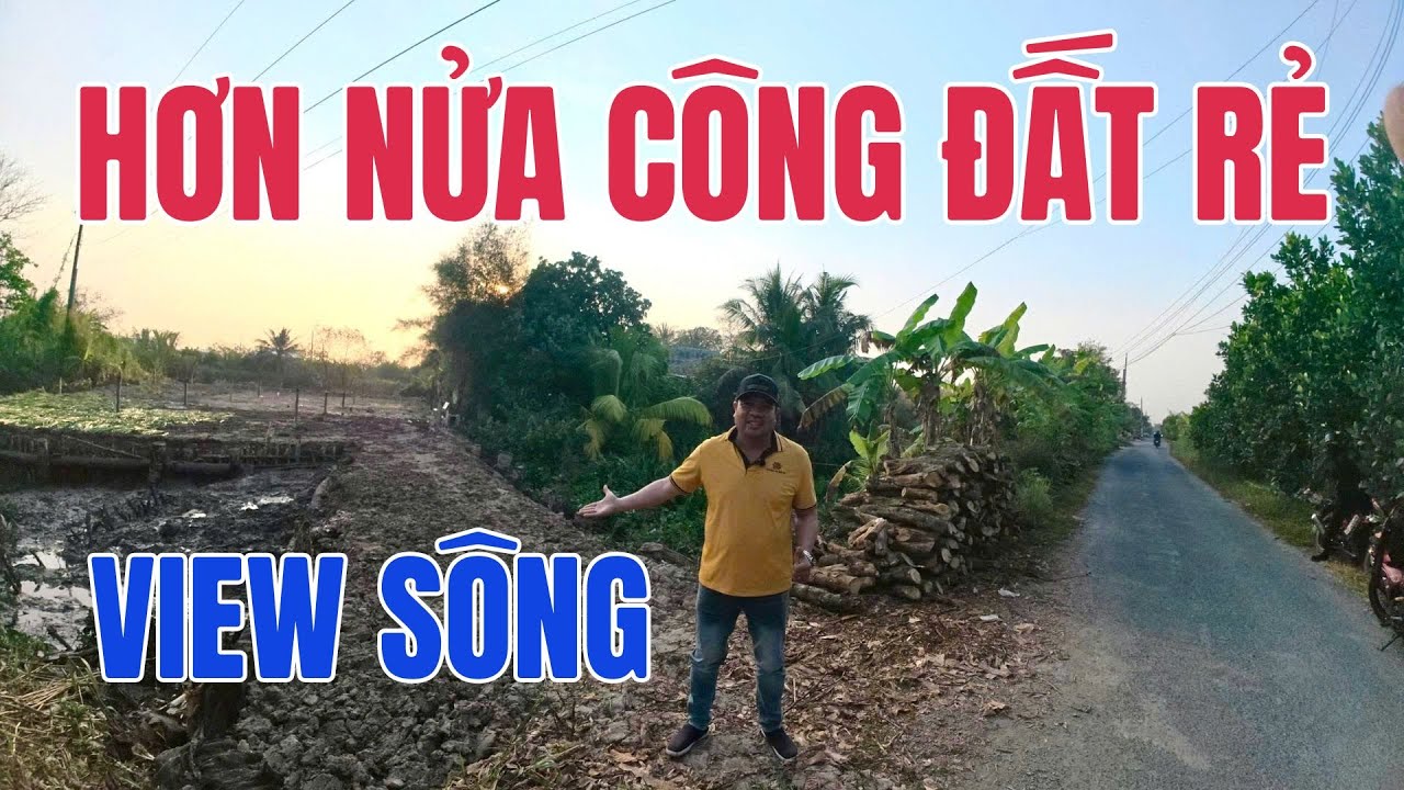 Hơn nửa công đất giá rẻ mặt tiền lộ nhựa, view sông mát mẻ tại Vĩnh Long