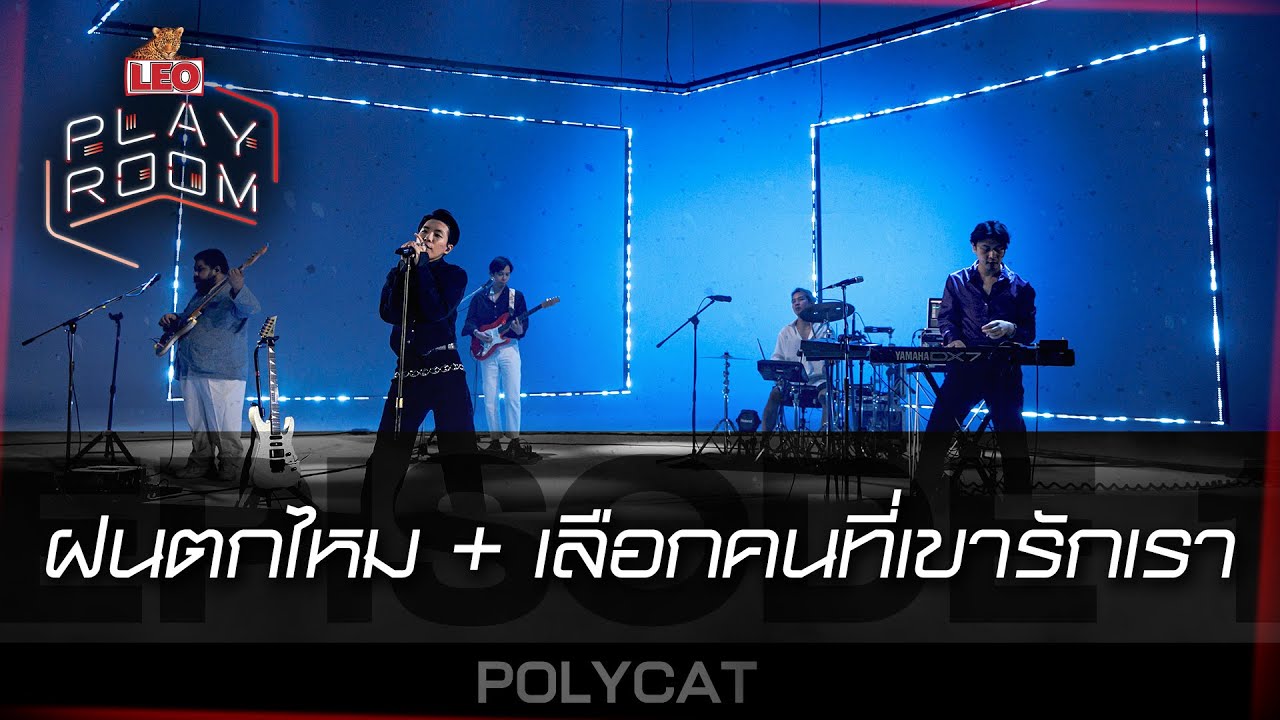 ฝนตกไหม + เลือกคนที่เขารักเรา - POLYCAT (Original by THREE MAN DOWN) | LEO Playroom