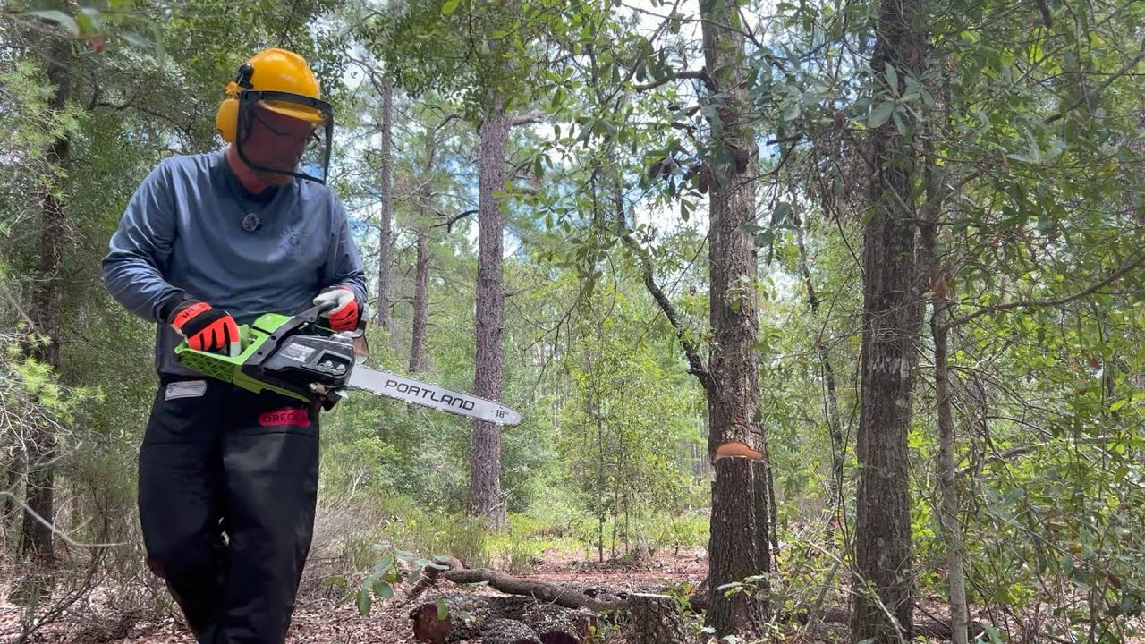 013 - Clearing the Lot with the Harbor Freight Portland 18 42cc Chainsaw