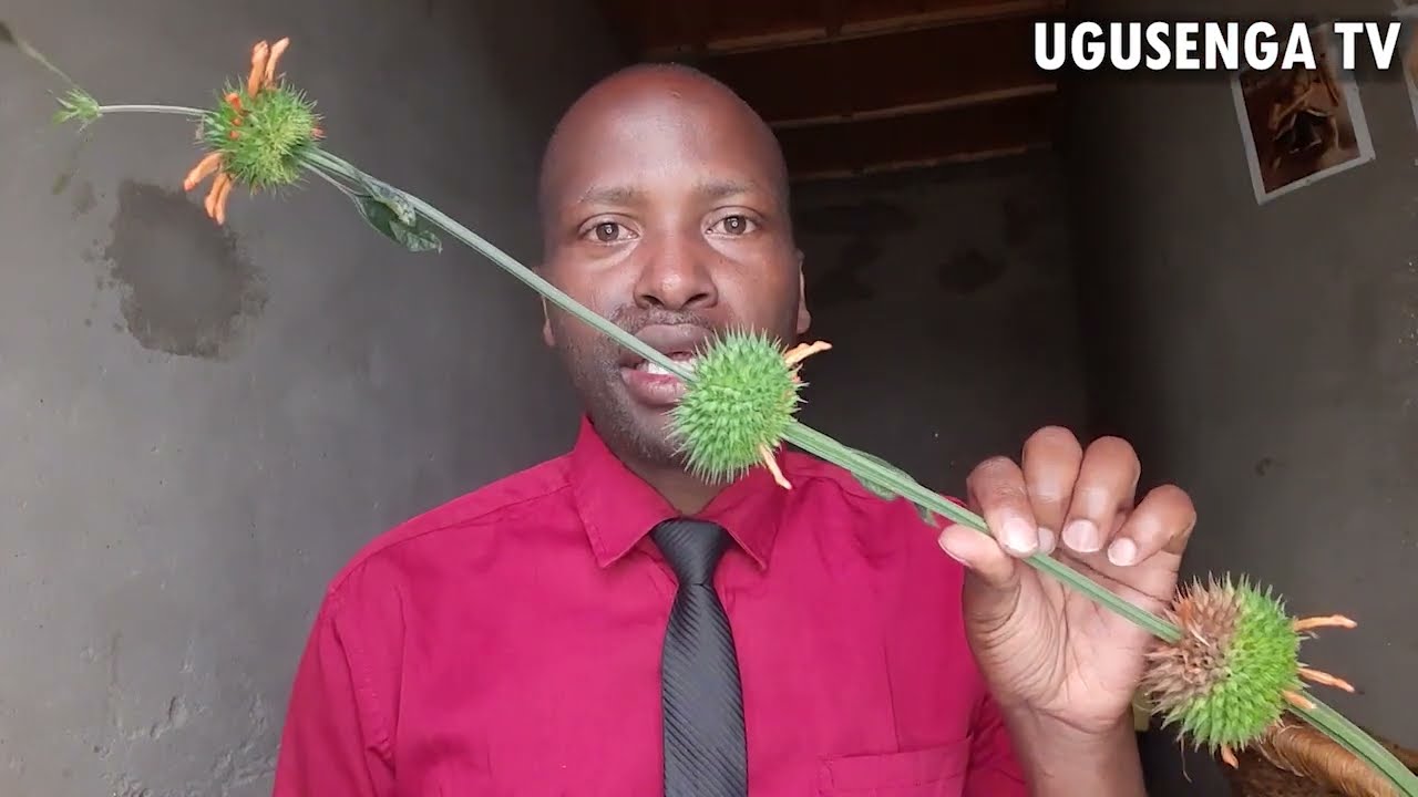 Agumana nawe ndetse akaguha icyo ushaka cyose