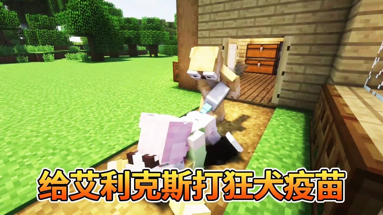 我的世界：艾力克斯被狗咬伤不打狂犬疫苗变成小狗，为了能治好艾利克斯，白小羊充当了诱饵...【我的世界细狗】