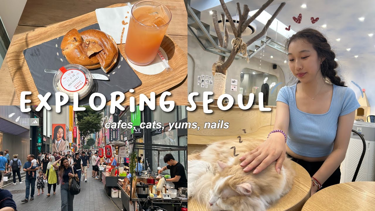 exploring korea vlog! 🐱🎀 // days in my life, myeongdong cafes, hapjeong streets [korea diaries 03]