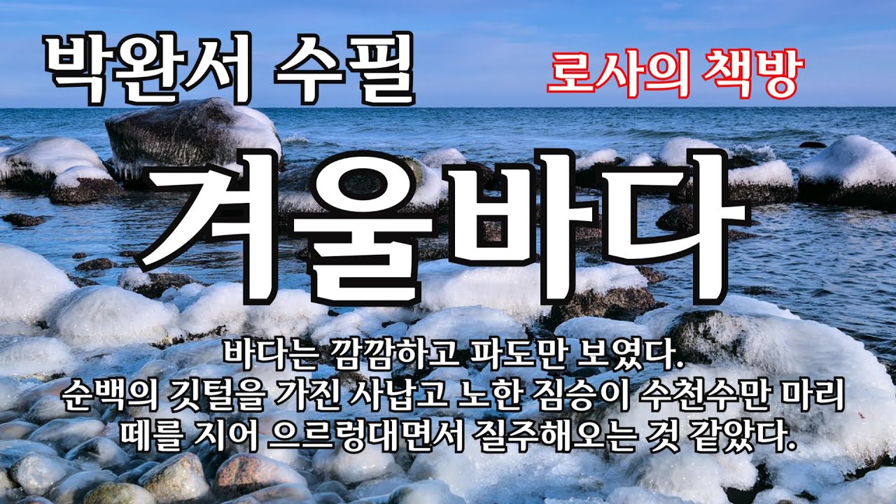 [박완서 수필/겨울바다/한겨울의 출분]바다는 깜깜하고 파도만 보였다. 순백의 깃털을 가진 사납고 노한 짐승이 수천수만 마리 떼를 지어 으르렁대면서 질주해오는 것 같았다.