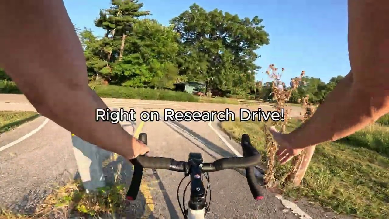 Ride with Dave to Newt the Cat