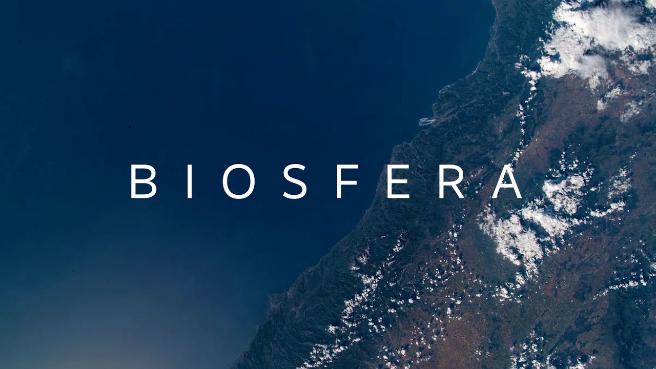 R&oacute;żnorodność biologiczna &ndash; Biosfera