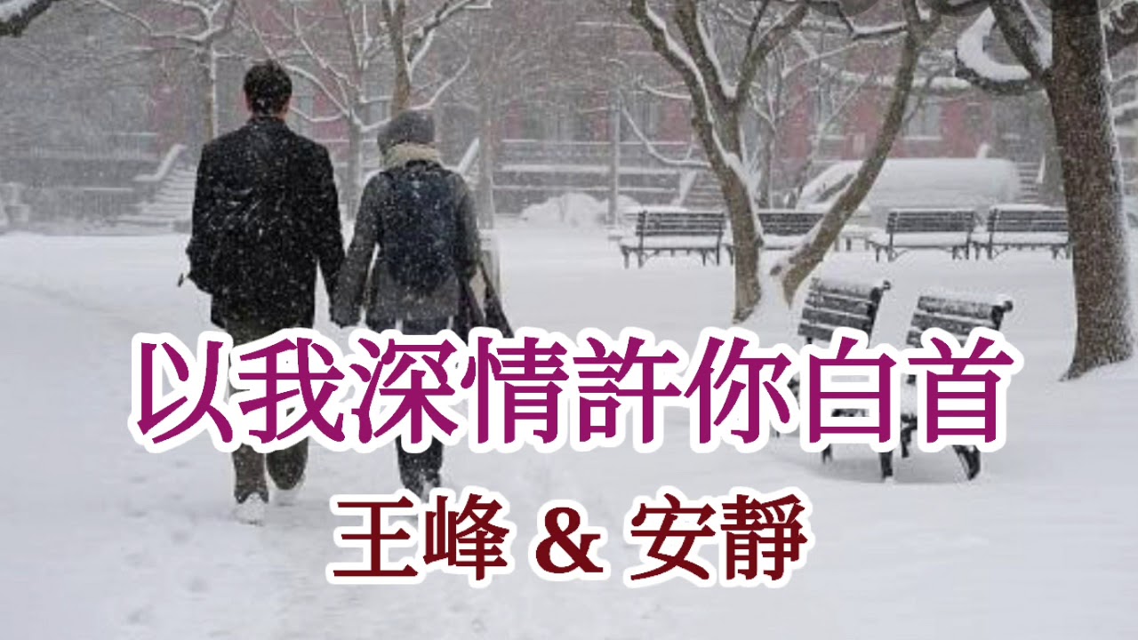 🎼💖 [ 以我深情許你白首 ] 💖🎼    演唱 : 王峰 & 安靜