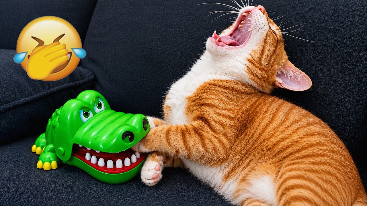You Laugh You Lose 😹🐶 Funniest Cats and Dogs 2026 🍭 Part #01