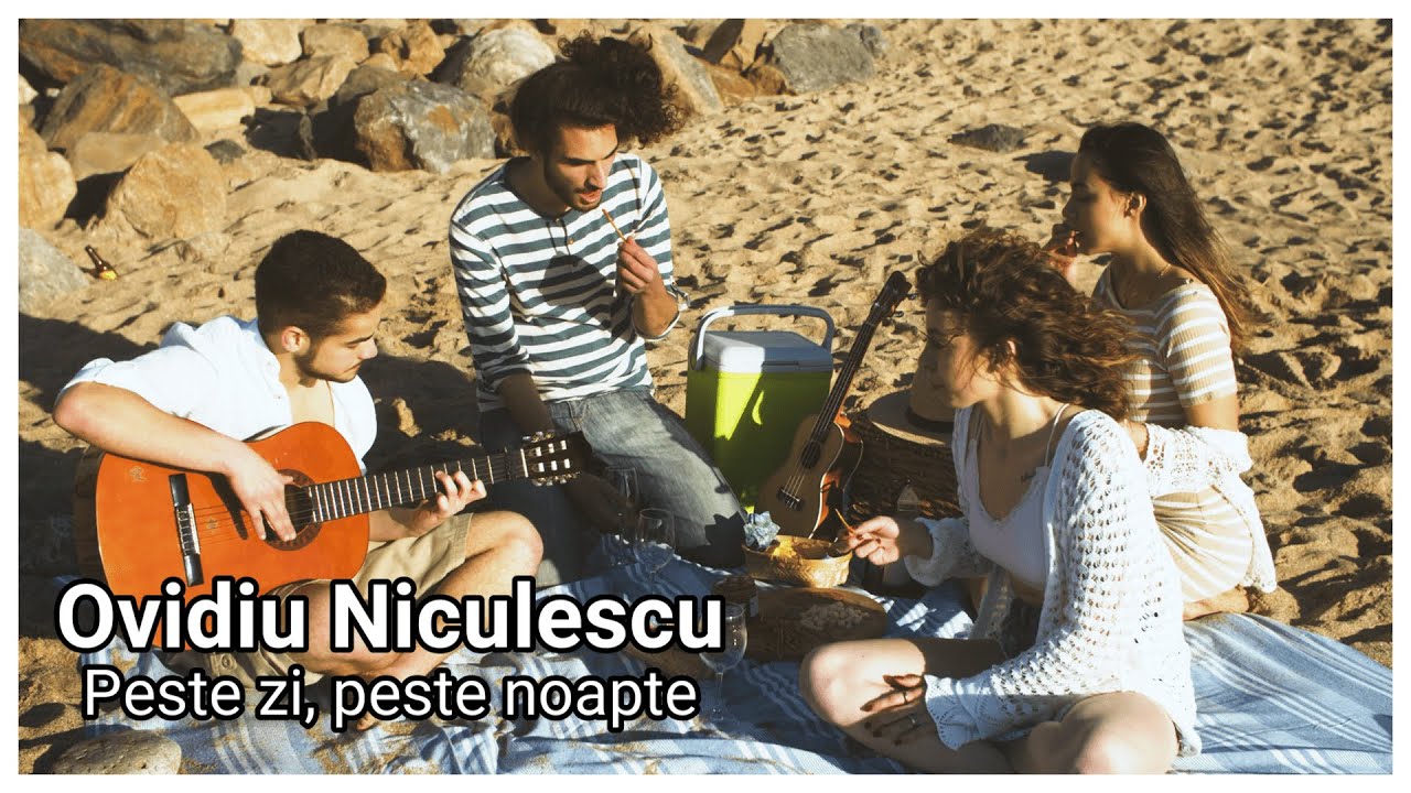Ovidiu Niculescu Peste zi, peste noapte