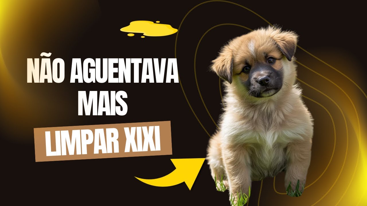  XIXI E COCÔ NO LUGAR CERTO: O PASSO A PASSO!