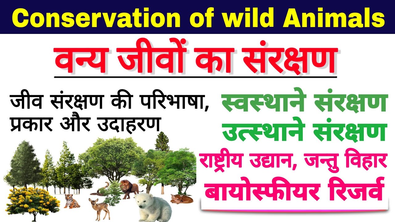 जैव विविधता का संरक्षण- वन्य जीवों का संरक्षण (Conservation of wildlife)| jaiv vividhata sanrakshan