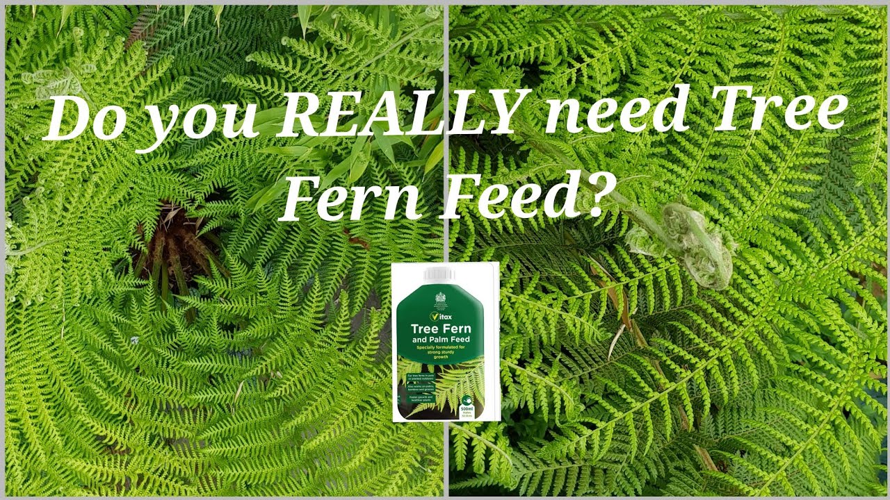 Do we Really need Fern Tree specific feed?