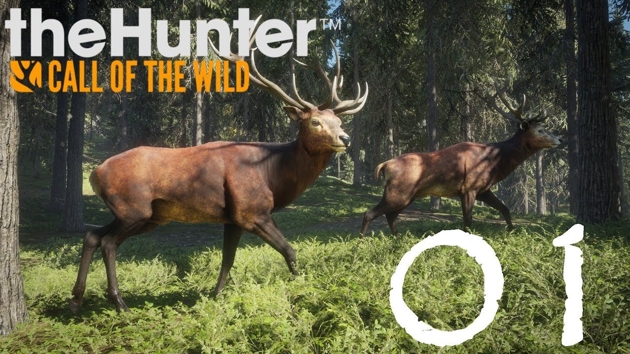 The Hunter - Call of the Wild CZ/SK - toulky přírodou.